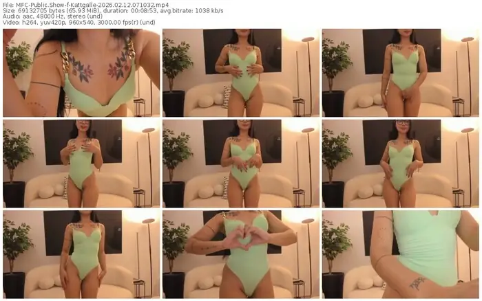 myfreecams-kattgalle-02-12-2026-07-10-32