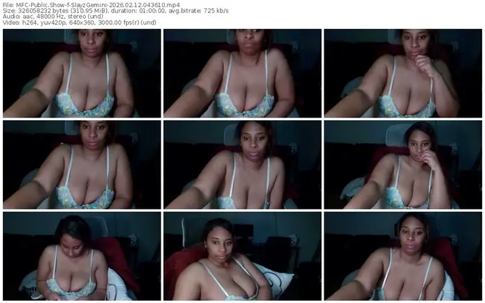 myfreecams-slayzgemini-02-12-2026-04-36-10