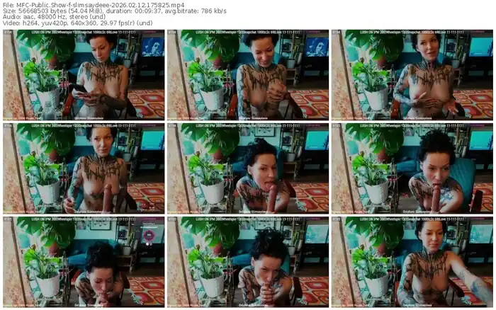 myfreecams-slimsaydeee-02-12-2026-17-58-25