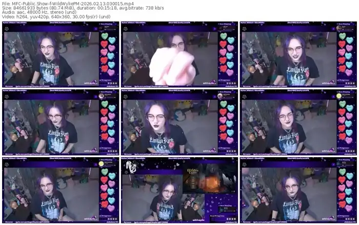 myfreecams-wildwyliepm-02-13-2026-03-00-15