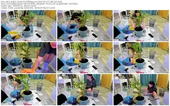 myfreecams-gltpleasure-02-17-2026-19-57-23