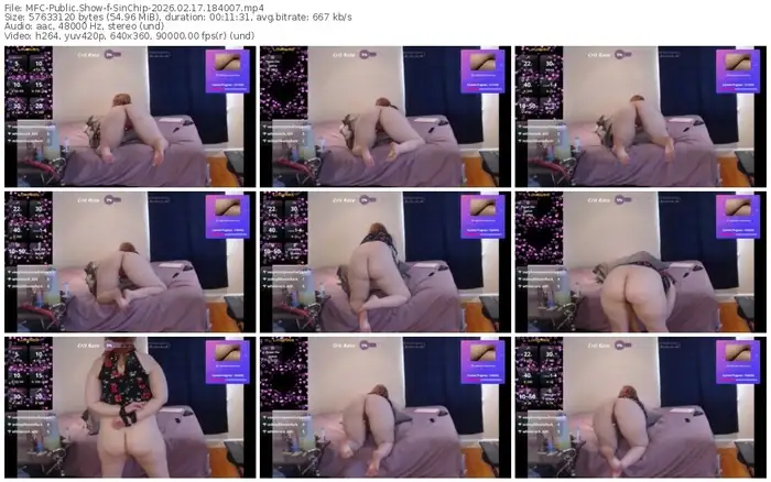 myfreecams-sinchip-02-17-2026-18-40-07