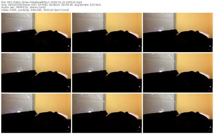 myfreecams-redheadkitty1-02-23-2026-02-45-23