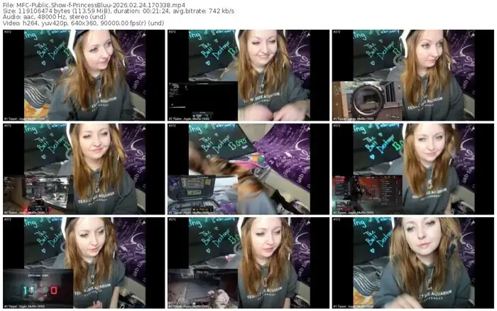 myfreecams-princessbluu-02-24-2026-17-03-38