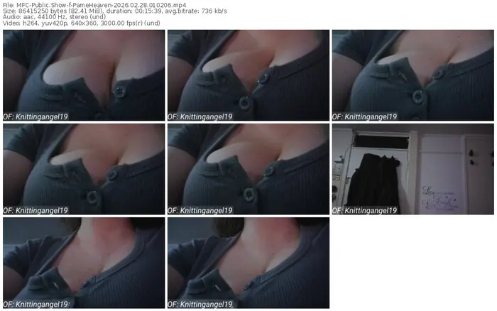 myfreecams-pameheaven-02-28-2026-01-02-06