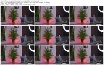 myfreecams-abbelawhite-03-31-2026-09-34-16