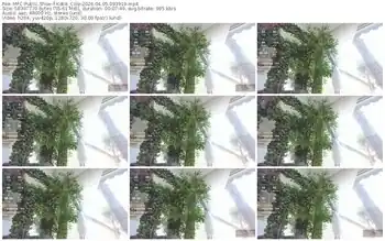 myfreecams-katie_cole-04-05-2026-09-39-19