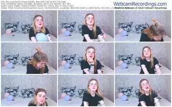 mv_live-zelda_bee-04_14_2021-07_17_55