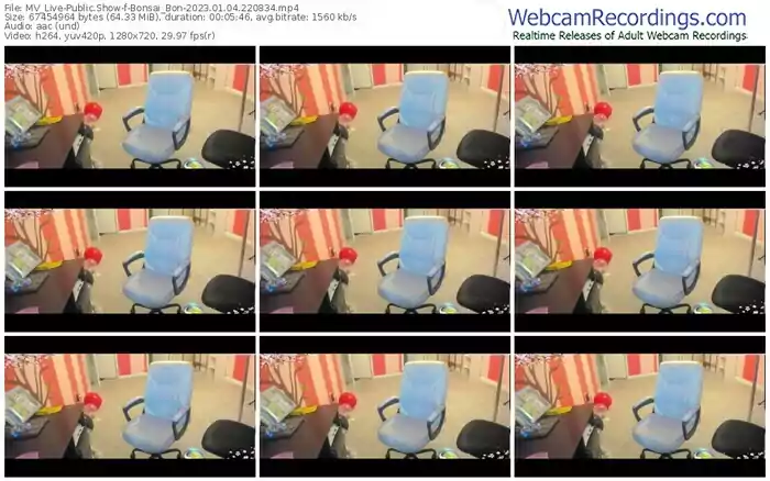 mv_live-bonsai_bon-01-04-2023-22-08-34