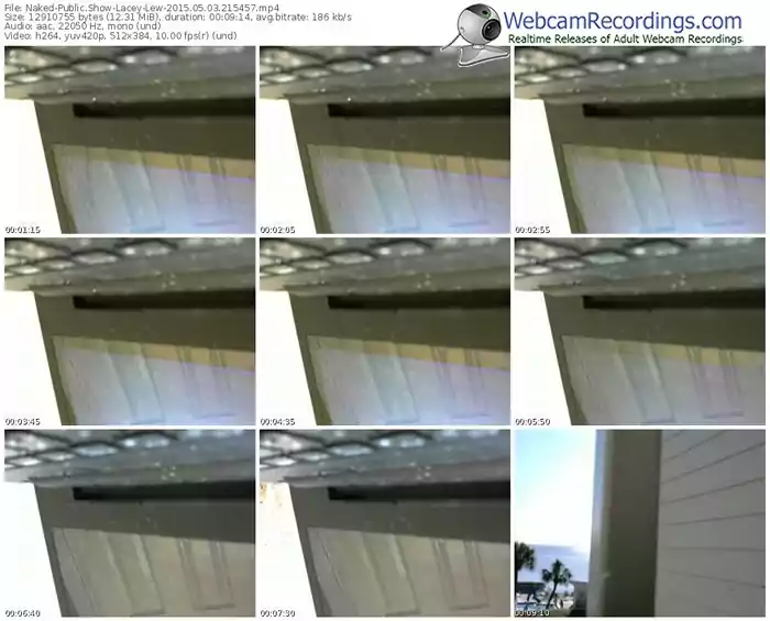 naked-lacey-lew-public-show-05_03_2015-21_54_57
