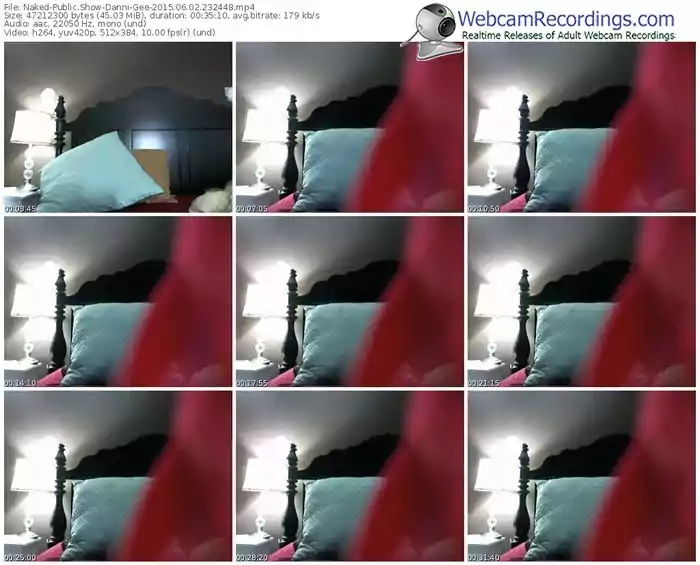 naked-danni-gee-public-show-06_02_2015-23_24_48