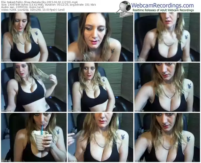 naked-pamela-sky-public-show-06_02_2015-11_15_01