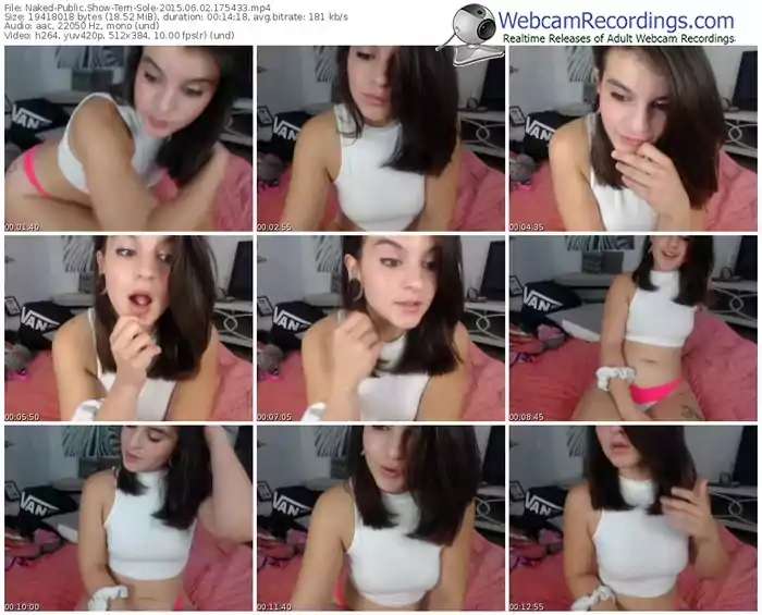 naked-terri-sole-public-show-06_02_2015-17_54_33