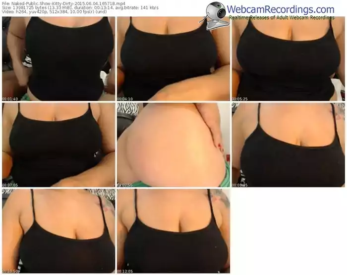 naked-kitty-dirty-public-show-06_04_2015-16_57_18