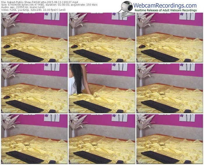 naked-wildcatte-public-show-08_13_2015-19_31_07