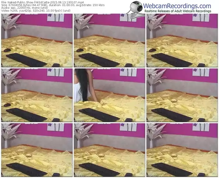 naked-wildcatte-public-show-08_13_2015-19_31_07