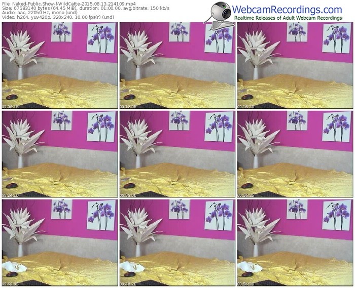 naked-wildcatte-public-show-08_13_2015-21_41_09