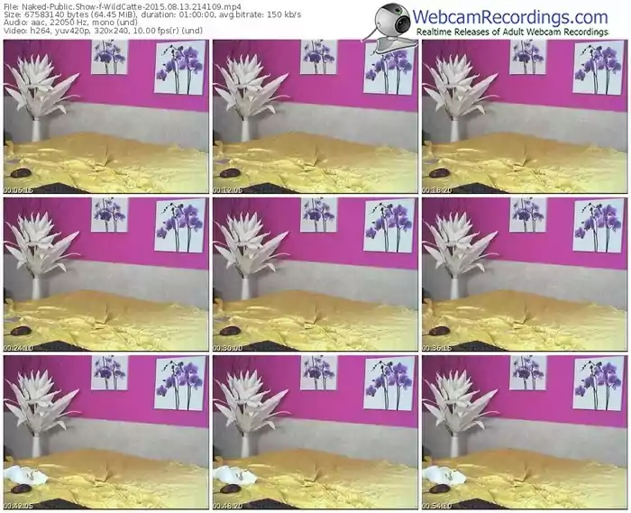 naked-wildcatte-public-show-08_13_2015-21_41_09