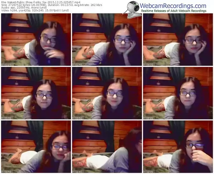 naked-silky_fox-webcam-show-12_25_2015-02_59_57