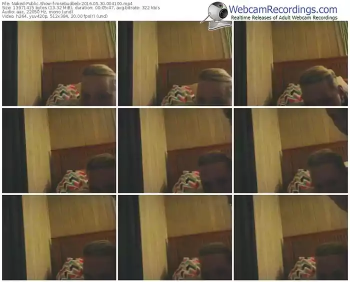 naked-rosebudbeb-webcam-show-05_30_2016-00_41_00