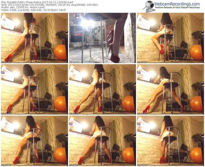 runetki-kobra-public-show-02_11_2015-13_33_36