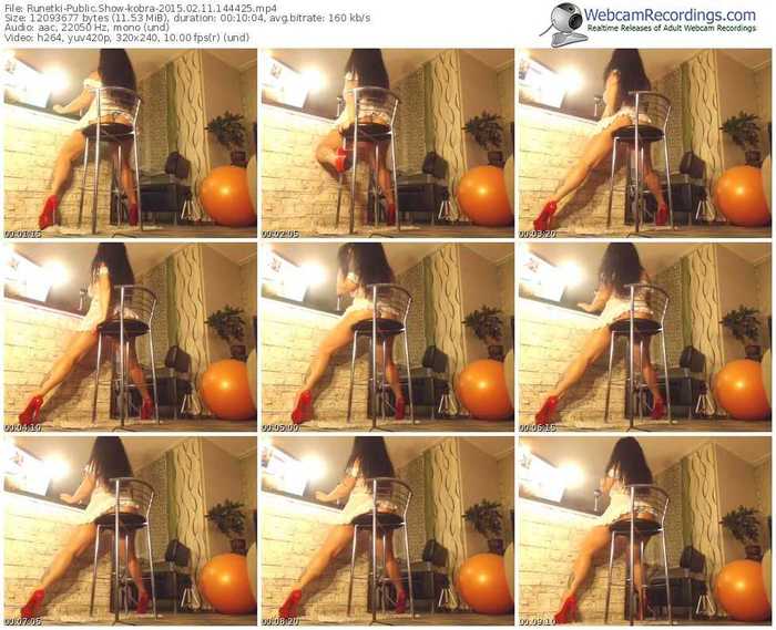 runetki-kobra-public-show-02_11_2015-14_44_25