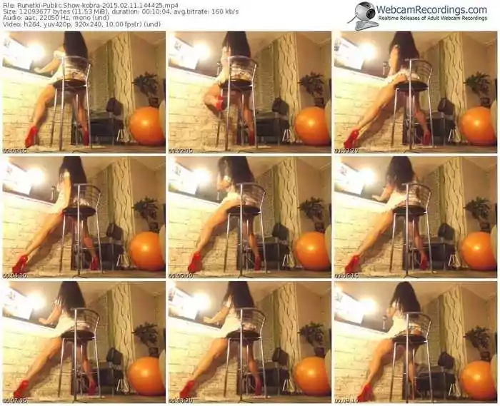 runetki-kobra-public-show-02_11_2015-14_44_25