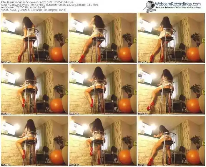 runetki-kobra-public-show-02_12_2015-05_21_04