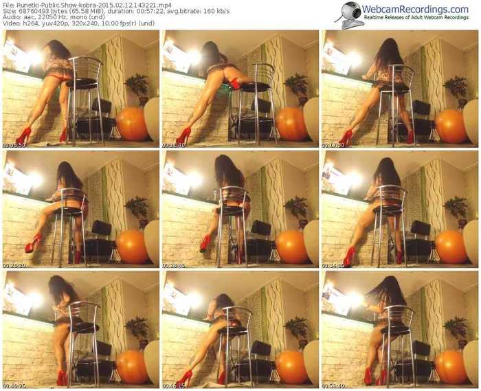 runetki-kobra-public-show-02_12_2015-14_32_21