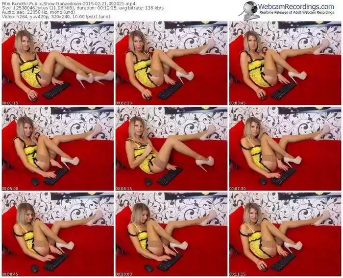 runetki-tianaedison-public-show-02_21_2015-09_20_21