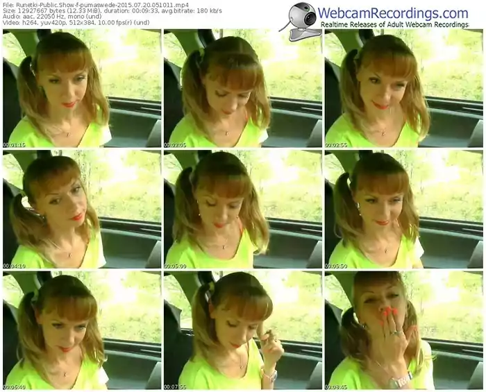 runetki-pumaswede-public-show-07_20_2015-05_10_11