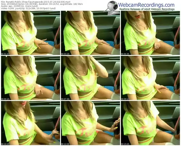 runetki-pumaswede-public-show-07_24_2015-03_19_06