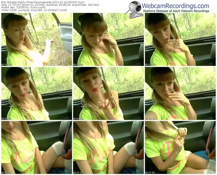 runetki-pumaswede-public-show-07_24_2015-05_29_07