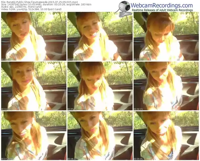 runetki-pumaswede-public-show-07_25_2015-05_19_15