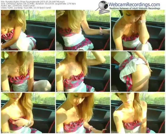 runetki-pumaswede-public-show-07_26_2015-04_47_49