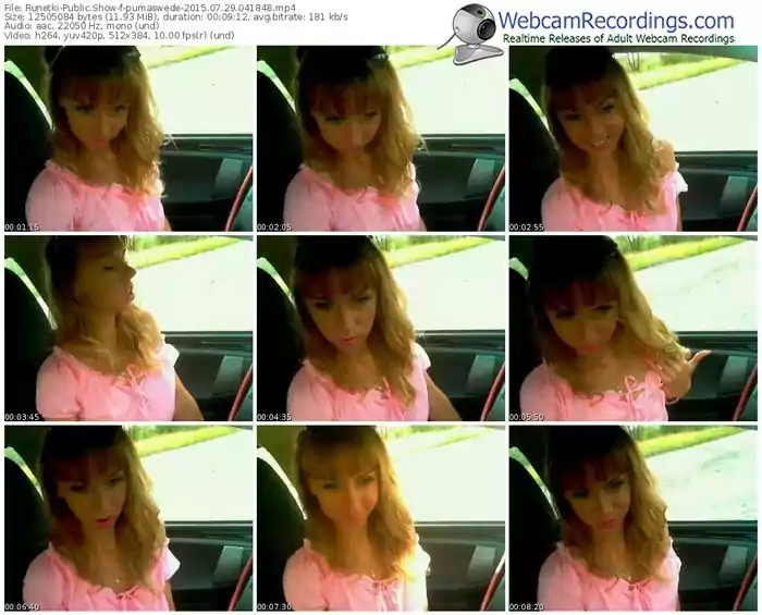 runetki-pumaswede-public-show-07_29_2015-04_18_48