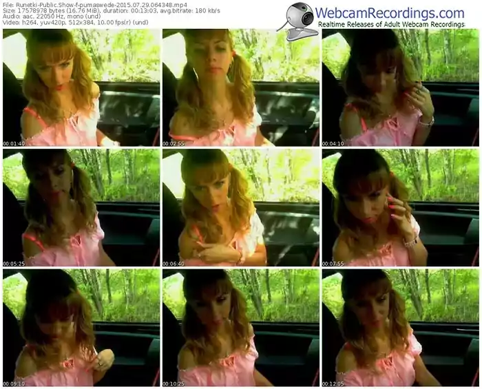 runetki-pumaswede-public-show-07_29_2015-06_43_48