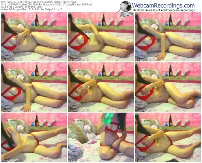 runetki-92pantera-public-show-08_07_2015-11_08_50