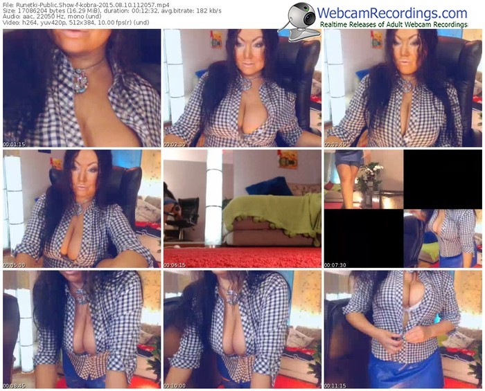 runetki-kobra-public-show-08_10_2015-11_20_57