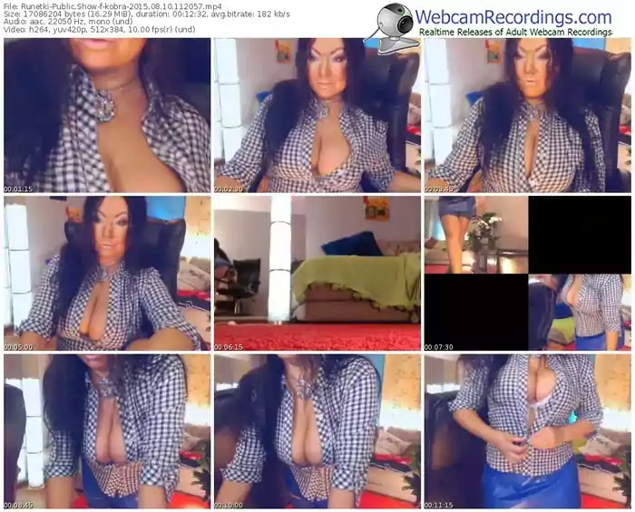 runetki-kobra-public-show-08_10_2015-11_20_57