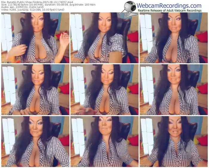 runetki-kobra-public-show-08_10_2015-17_40_57