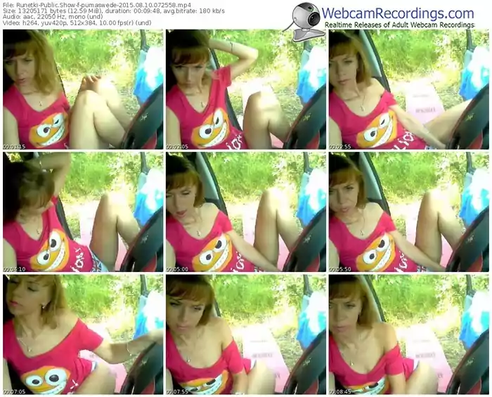 runetki-pumaswede-public-show-08_10_2015-07_25_58