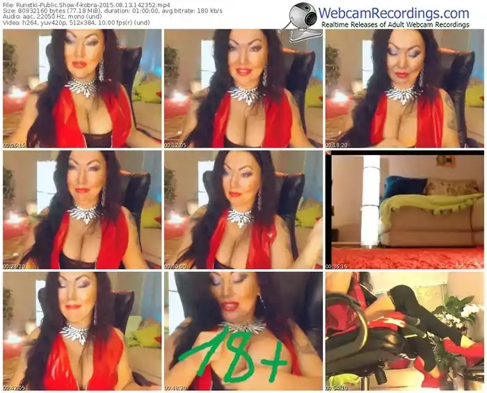 runetki-kobra-public-show-08_13_2015-14_23_52