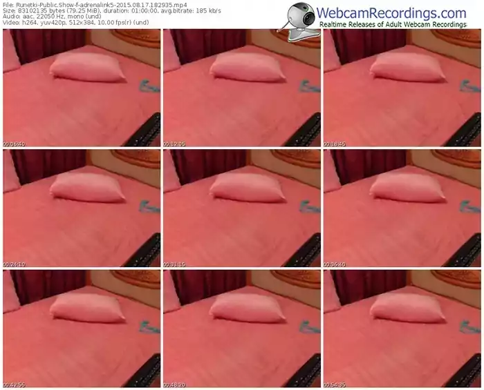 runetki-adrenalink5-public-show-08_17_2015-18_29_35