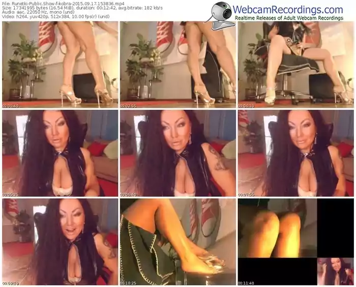 runetki-kobra-public-show-09_17_2015-15_38_36