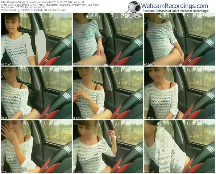 runetki-pumaswede-webcam-show-12_07_2015-10_11_46