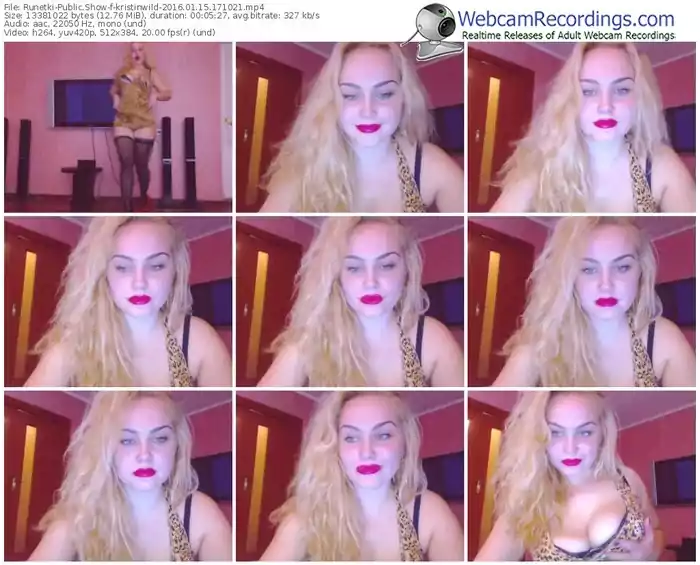 runetki-kristinwild-webcam-show-01_15_2016-17_10_21