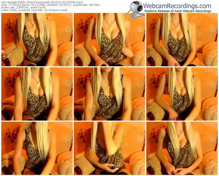 runetki-pussycat6-webcam-show-01_26_2016-22_50_43