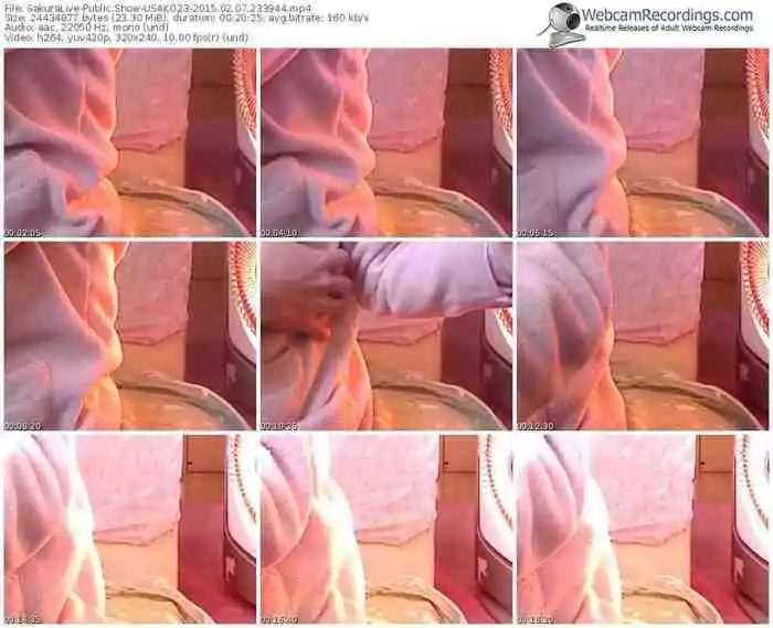 sakuralivejp-usako23-public-show-02_07_2015-23_39_44