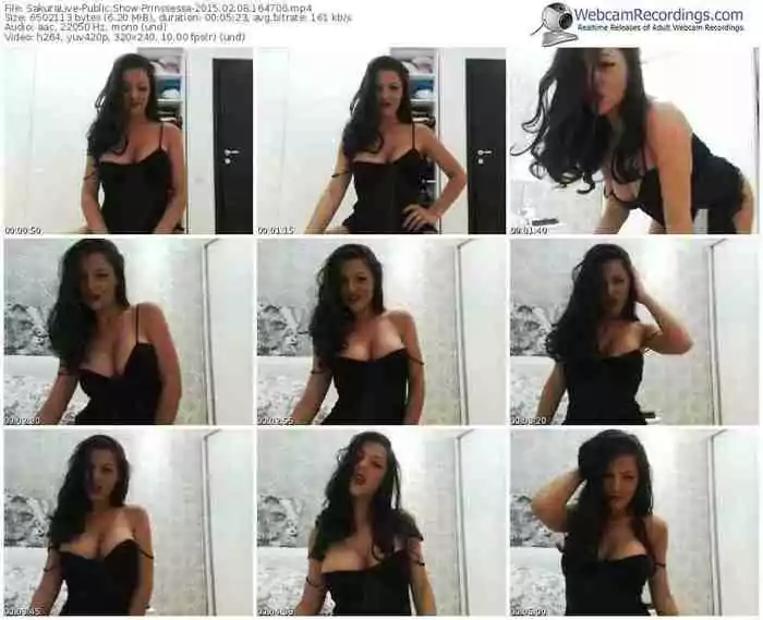 sakuralivejp-prinssessa-public-show-02_08_2015-16_47_06